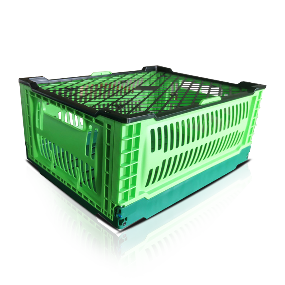 ZJKN403018C Basket Fillte Torthaí Basket Glasraí Plaisteacha